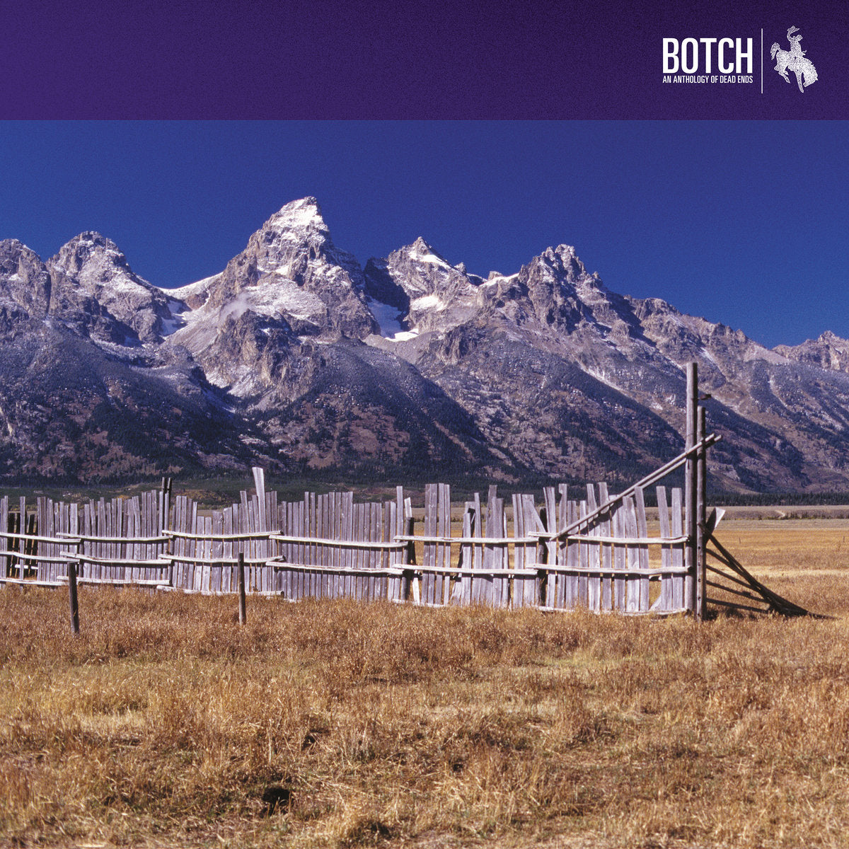BOTCH - AN ANTHOLOGY OF DEAD ENDS Vinyl LP