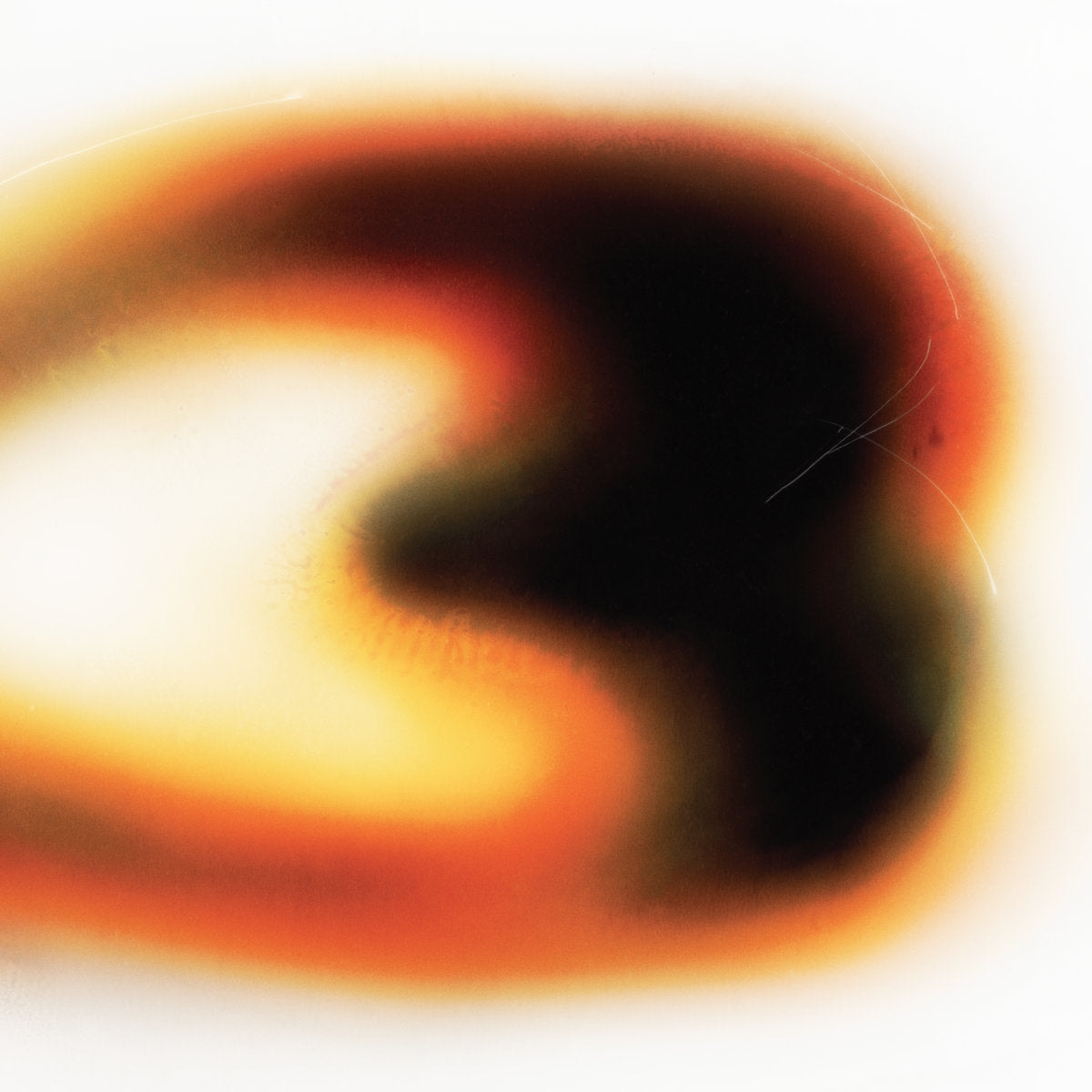 STILL HOUSE PLANTS - IF I DON'T MAKE IT, I LOVE U Vinyl LP