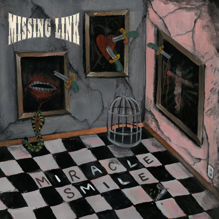 MISSING LINK - MIRACLE SMILE