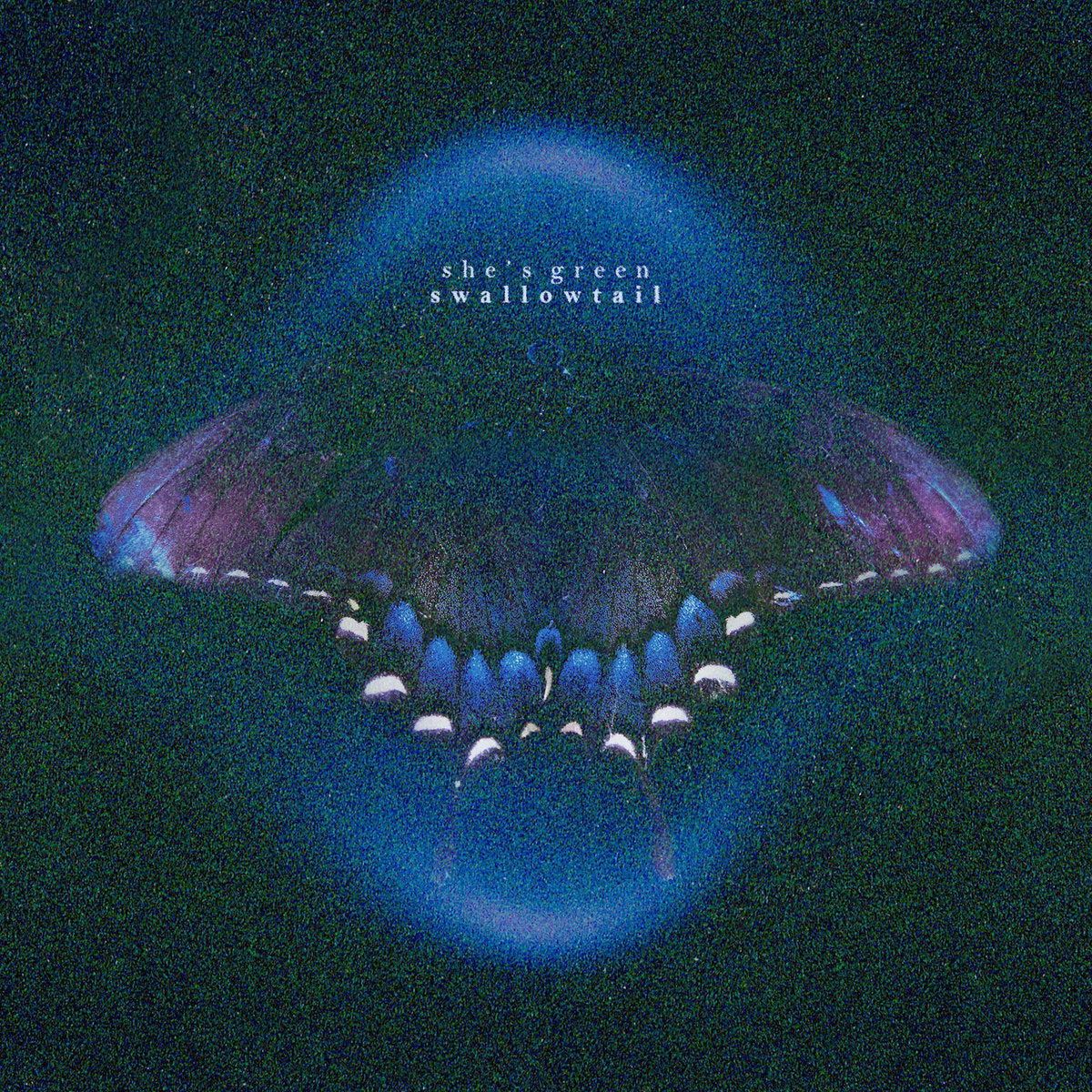 SHE'S GREEN - SWALLOWTAIL