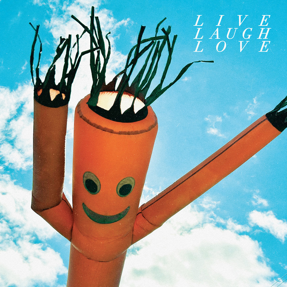 CHASTITY BELT - LIVE LAUGH LOVE Vinyl LP