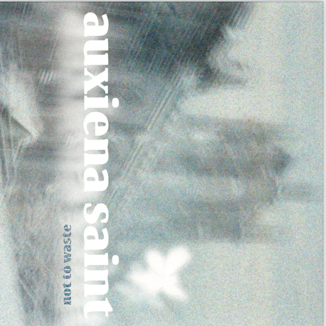 AUXIENA SAINT - NOT TO WASTE Cassette Tape