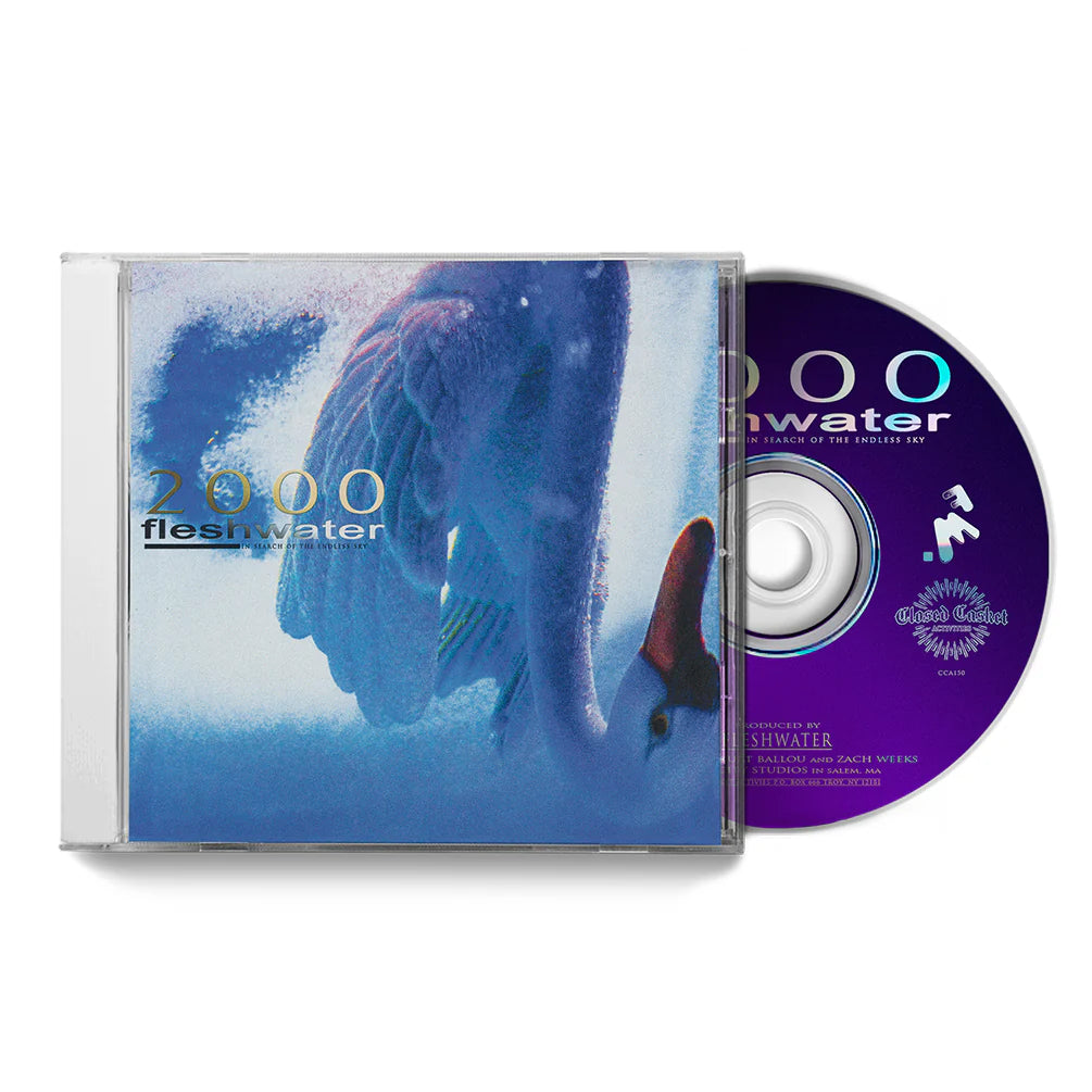 FLESHWATER - 2000: IN SEARCH OF THE ENDLESS SKY