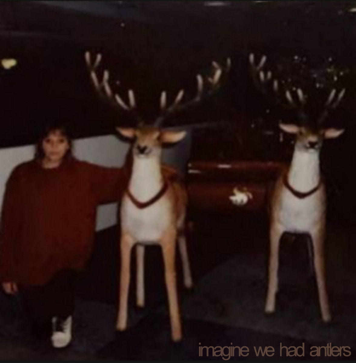 IMAGINE WE HAD ANTLERS - IMAGINE WE HAD ANTLERS