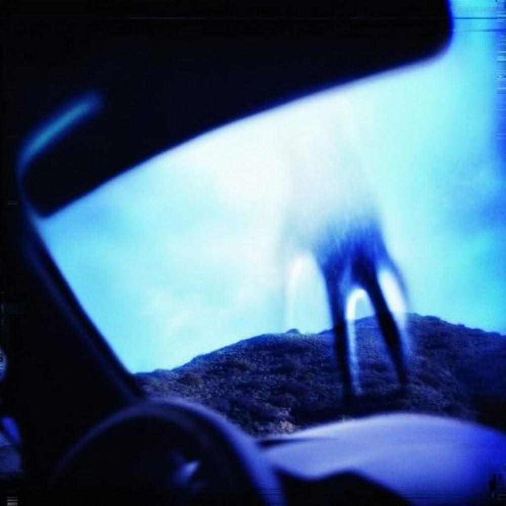 NINE INCH NAILS - YEAR ZERO