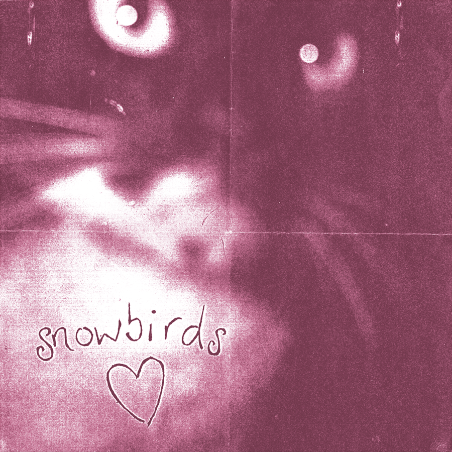 SNOWBIRDS - BEAUTIFUL MORNING Vinyl LP