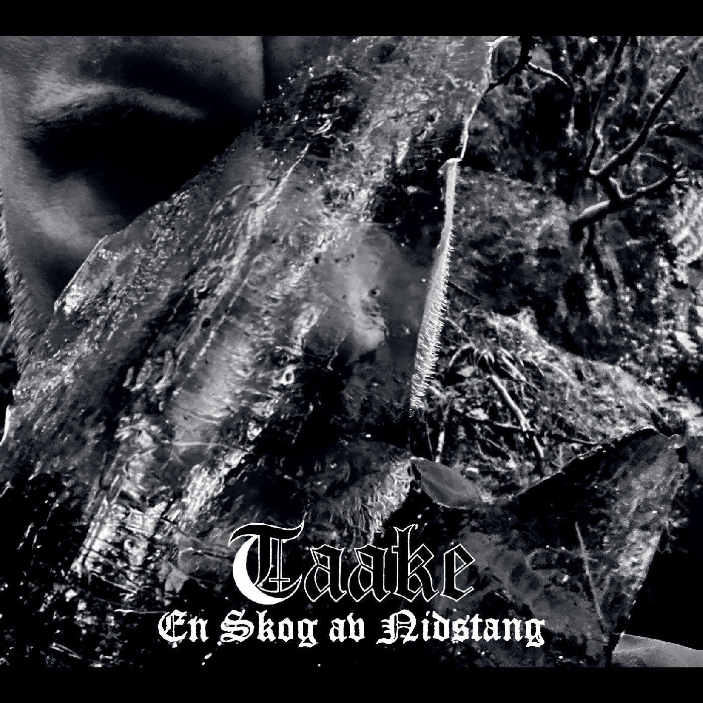 TAAKE - EN SKOG AV NIDSTANG