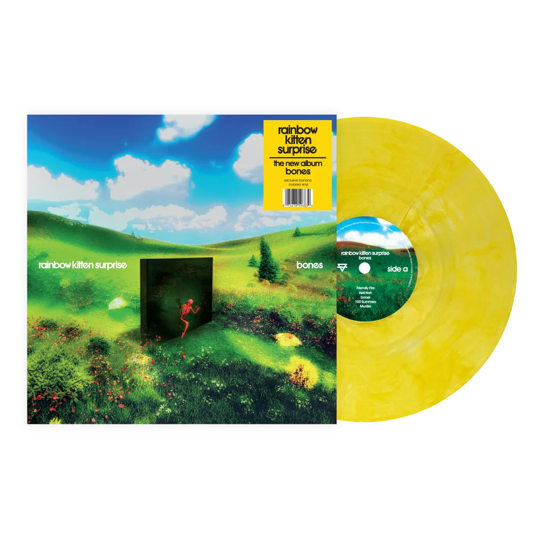 RAINBOW KITTEN SURPRISE - BONES
