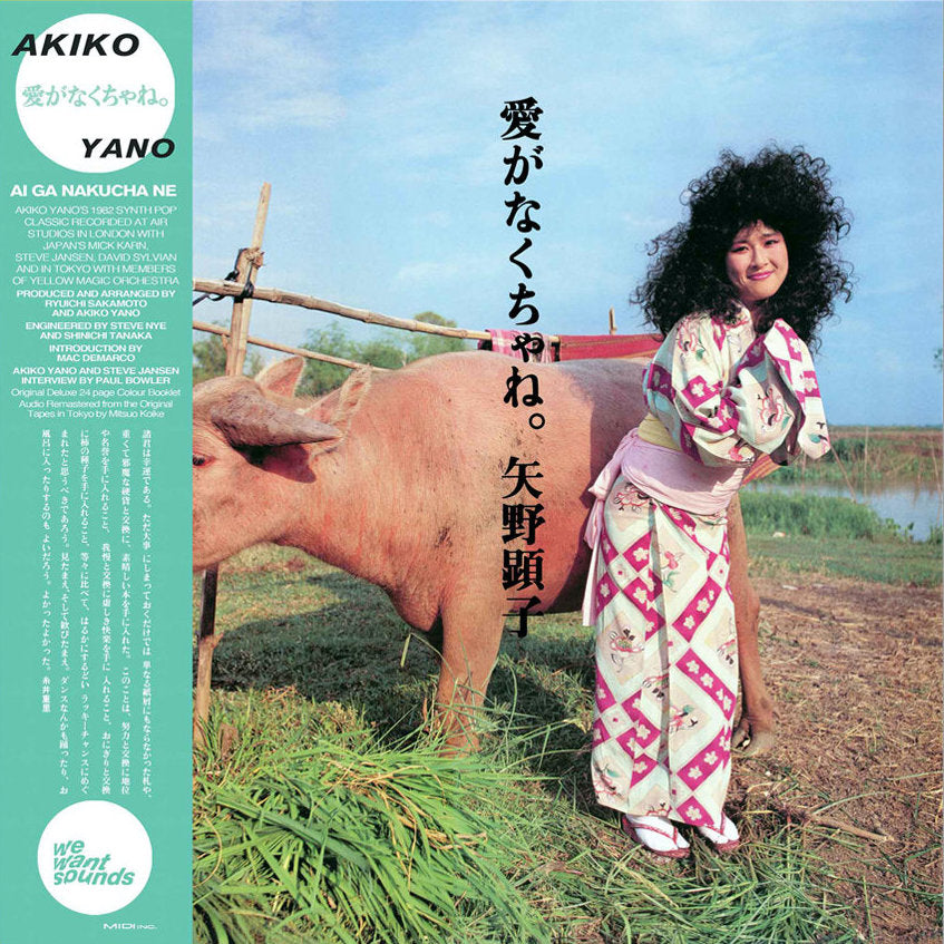 AKIKO YANO - AI GA NAKUCHA NE Vinyl LP