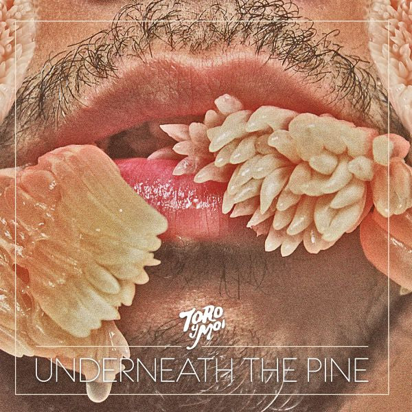 TORO Y MOI - UNDERNEATH THE PINE (10th Anniversary Vinyl) LP
