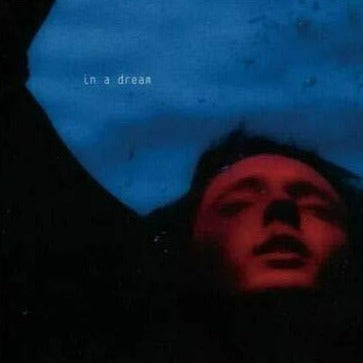 TROY SIVAN - IN A DREAM Vinyl LP