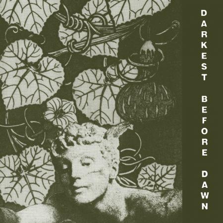 DARK DAY - DARKEST BEFORE DAWN Vinyl LP