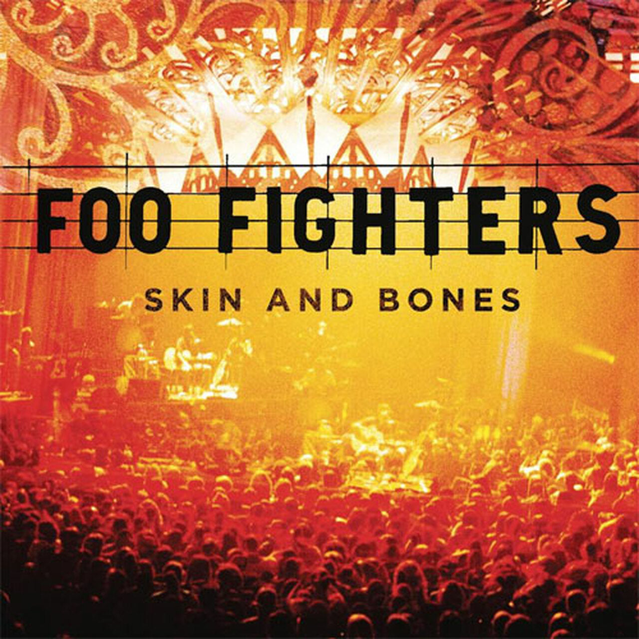 FOO FIGHTERS - SKIN AND BONES Vinyl 2xLP