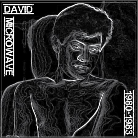 DAVID MICROWAVE - 1980-83 Vinyl LP