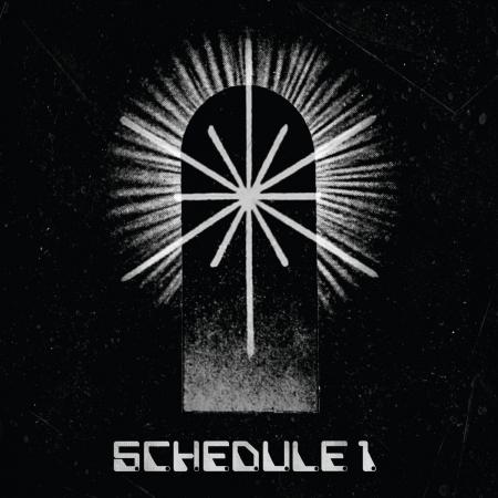 SCHEDULE 1 - SCHEDULE 1 Vinyl LP
