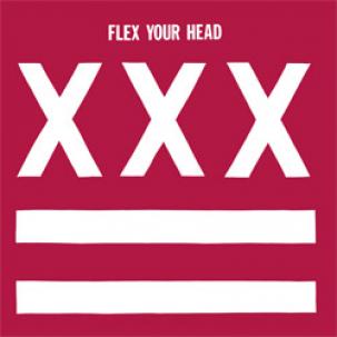 V/A - FLEX YOUR HEAD