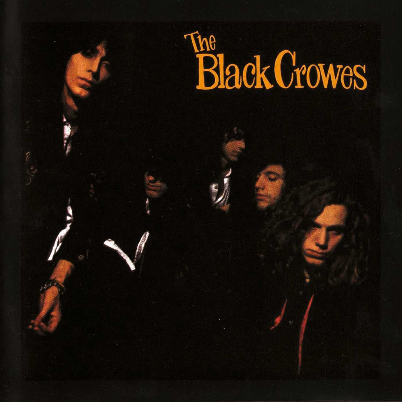 BLACK CROWES - SHAKE YOUR MONEY MAKER Vinyl LP