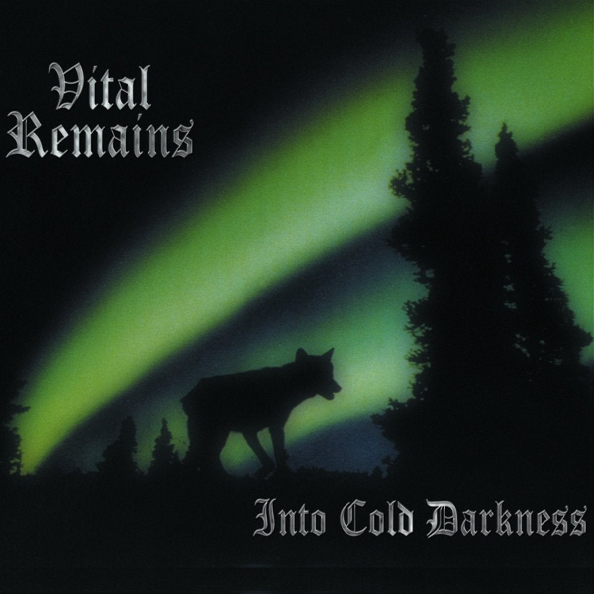 VITAL REMAINS - INTO COLD DARKNESS Vinyl LP