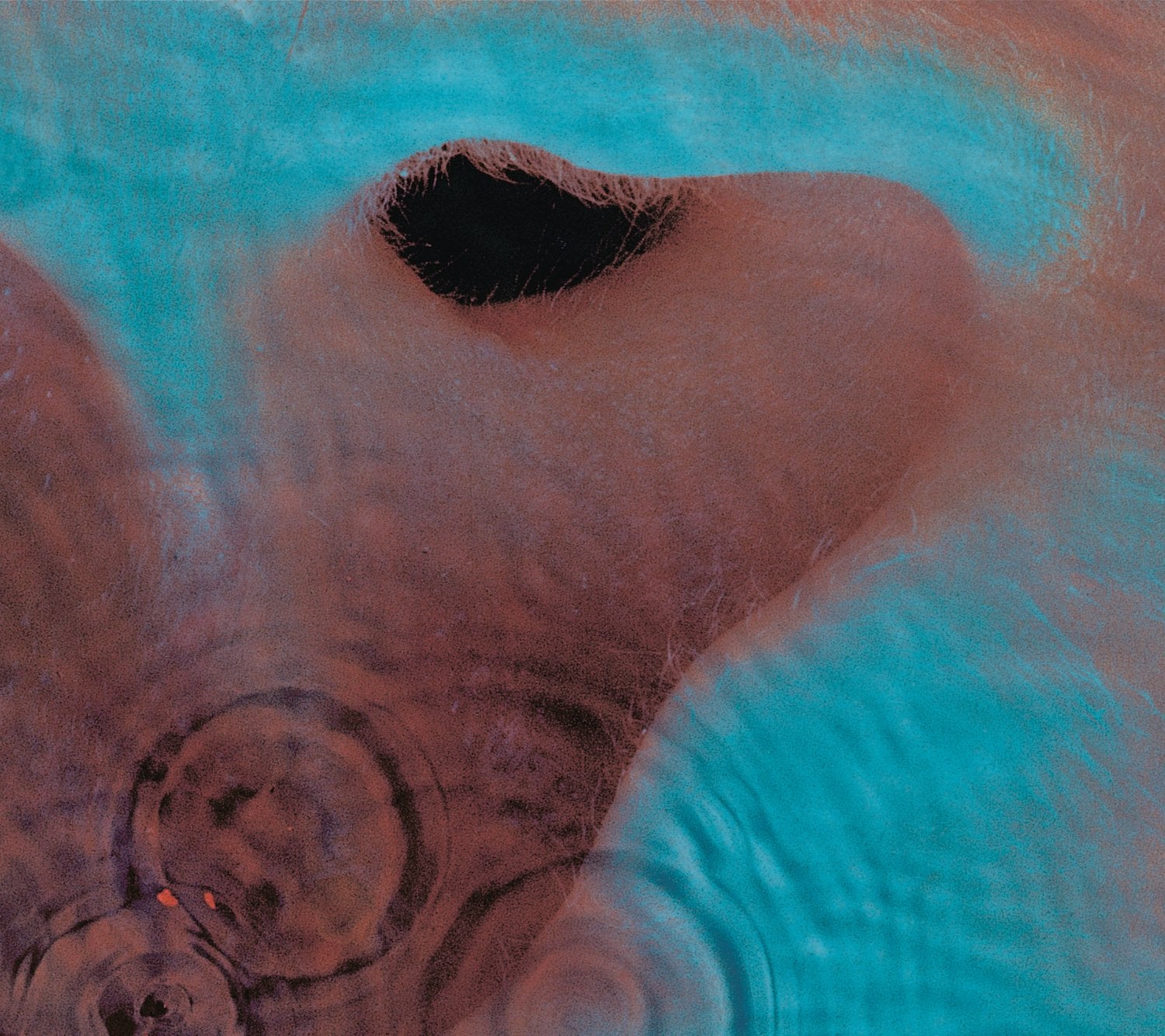 PINK FLOYD - MEDDLE Vinyl LP