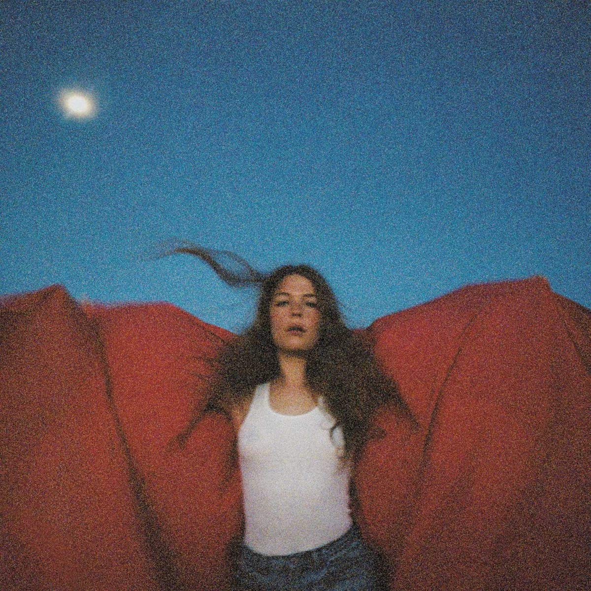MAGGIE ROGERS - HEARD IT IN A PAST LIFE Vinyl LP