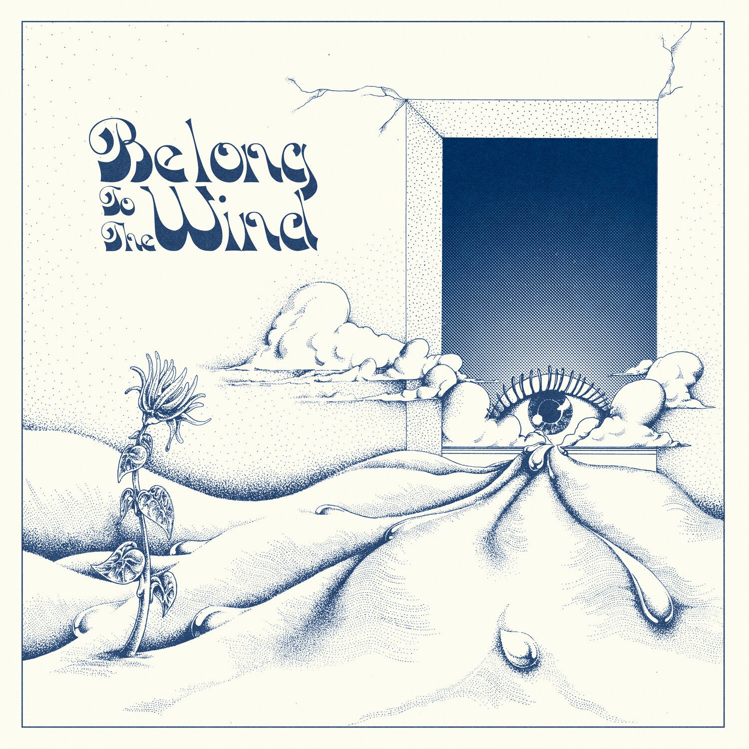 VARIOUS ARTISTS - BELONG TO THE WIND Vinyl LP