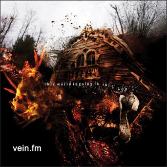 VEIN.FM - THIS WORLD IS GOING TO RUIN YOU Vinyl LP