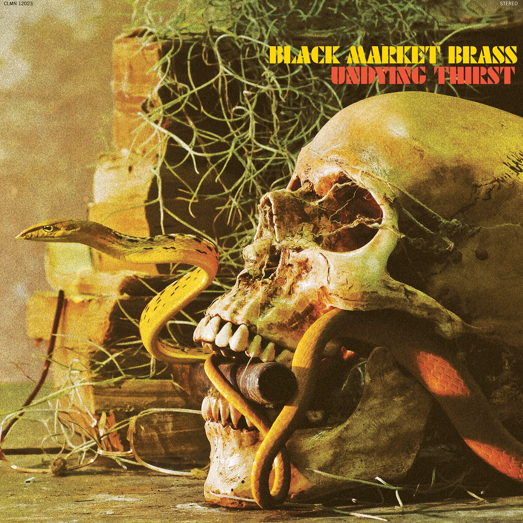 BLACK MARKET BRASS - UNDYING THIRST LP