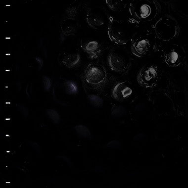 CRUMB - ICE MELT
