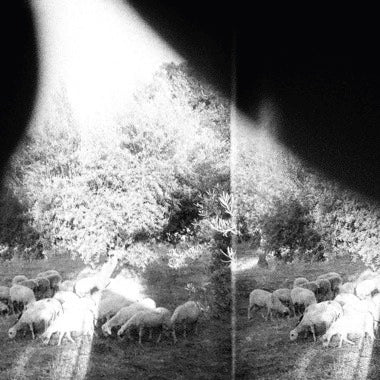 GODSPEED YOU BLACK EMPEROR - ASUNDER SWEET AND OTHER DISTRESS Vinyl LP