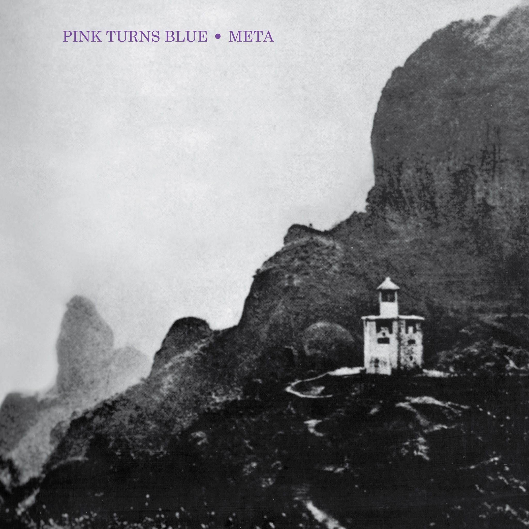 PINK TURNS BLUE - META (Clear Vinyl) LP