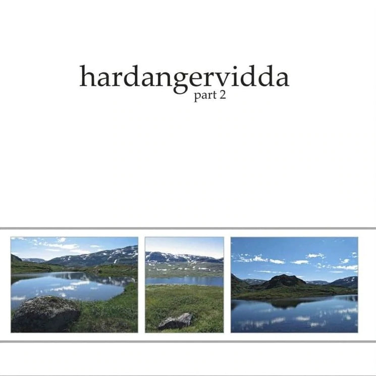 ILDJARN - HARDANGERVIDDA II Vinyl LP