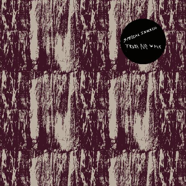 SPECIAL INTEREST - TRUST NO WAVE Vinyl LP