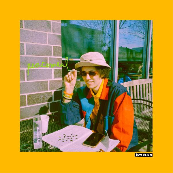 RON GALLO - PEACEMEAL Vinyl LP