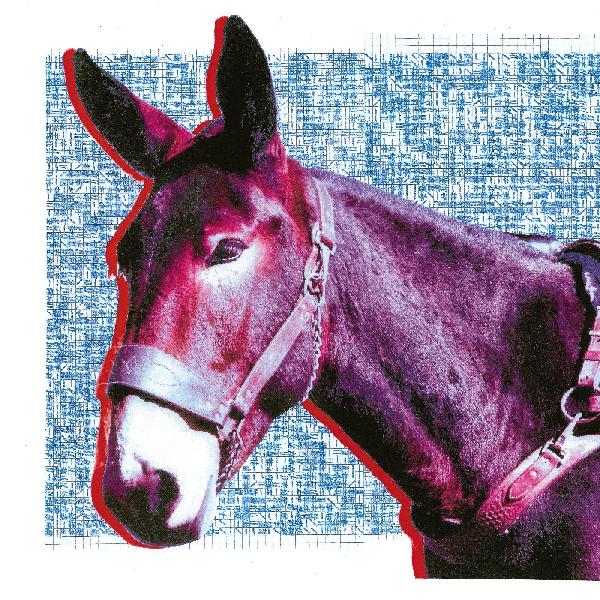 PROTOMARTYR - ULTIMATE SUCCESS TODAY Vinyl LP