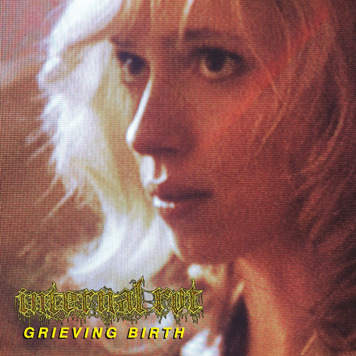 INTERNAL ROT - GRIEVING BIRTH Vinyl LP