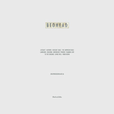 BEDHEAD - WHATFUNLIFEWAS Vinyl LP