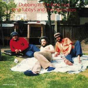 KING TUBBY & THE AGROVATORS - DUBBING IN THE BACK YARD Vinyl LP