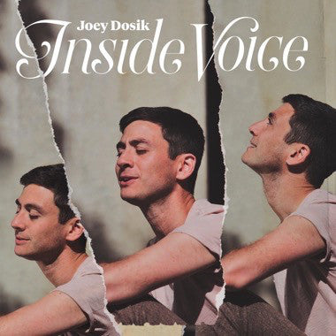 JOEY DOSIK - INSIDE VOICES Vinyl LP