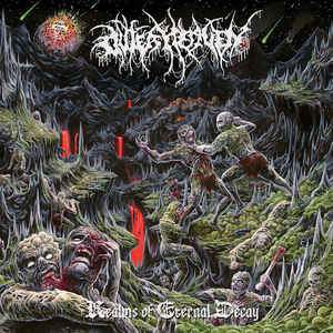 OUTER HEAVEN - REALMS OF ETERNAL DECAY Vinyl LP