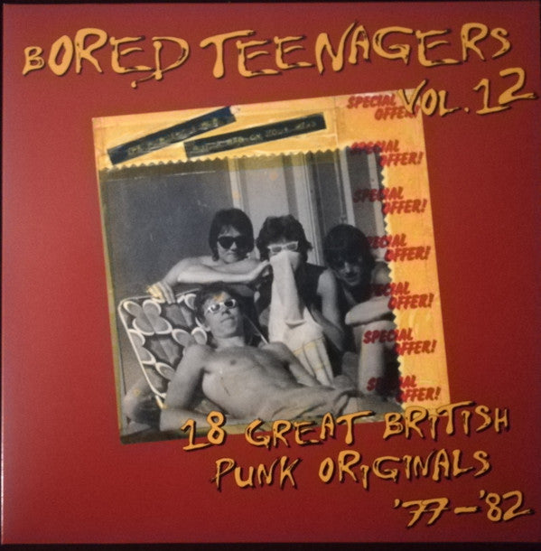 BORED TEENAGERS - VOL. 12 LP