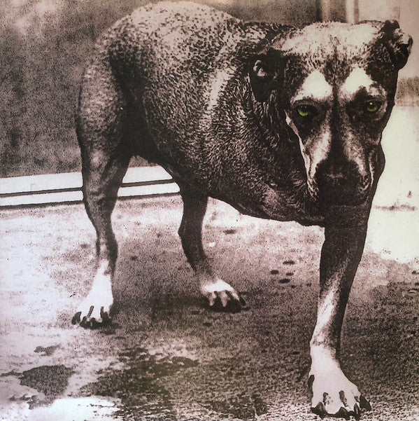 ALICE IN CHAINS - ALICE IN CHAINS
