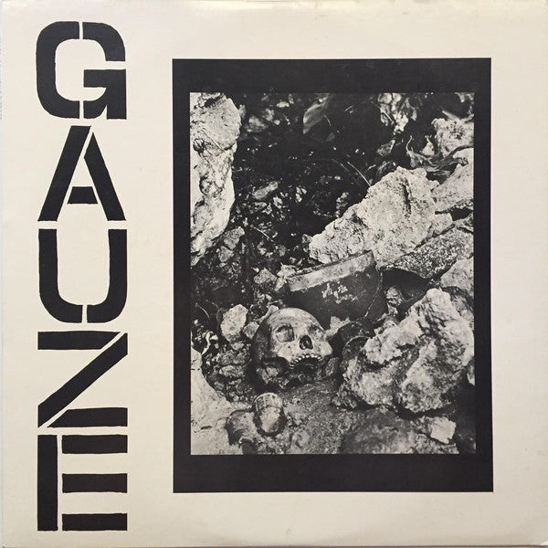 GAUZE - EQAULIZING DISTORT Vinyl LP