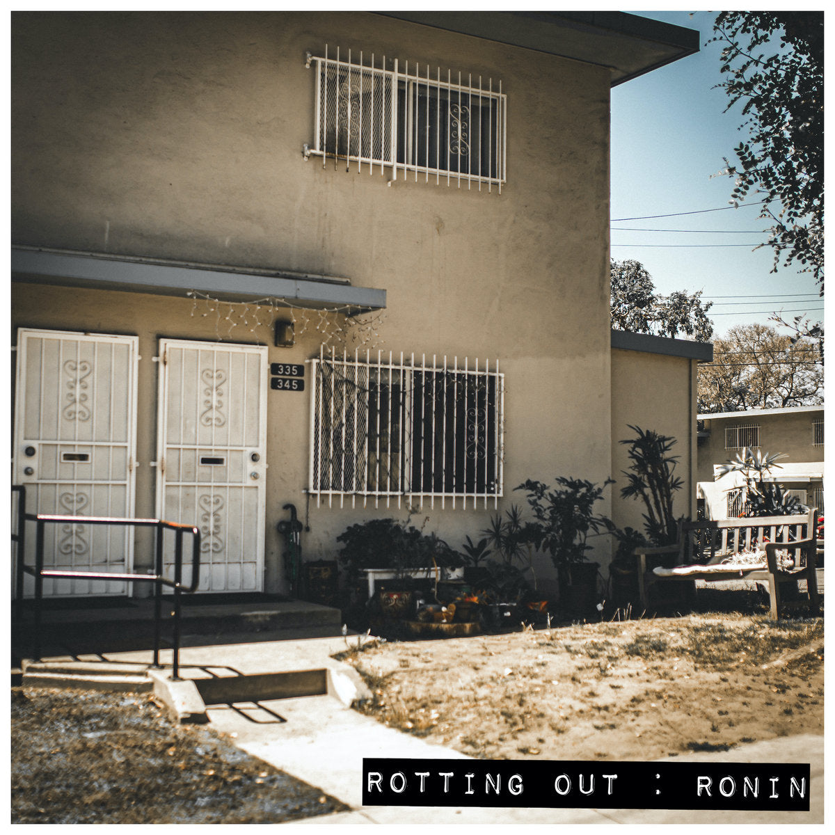 ROTTING OUT - RONIN Vinyl LP