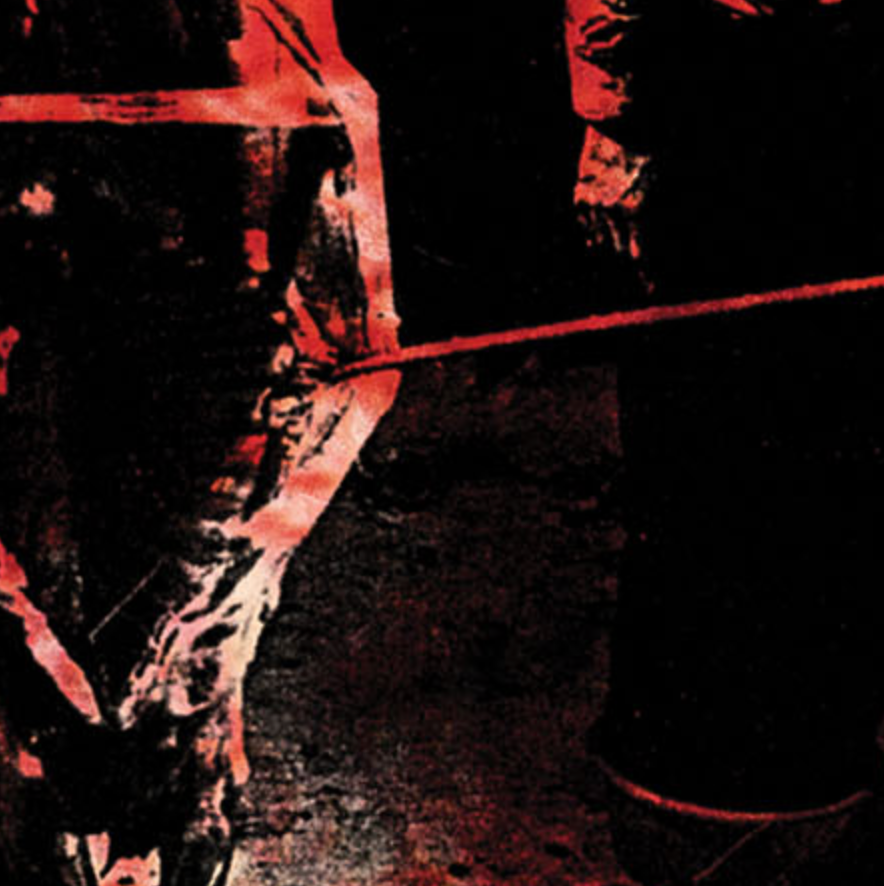 PIG DESTROYER - 38 COUNTS OF BATTERY Vinyl LP