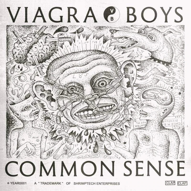 VIAGRA BOYS - COMMON SENSE Vinyl LP