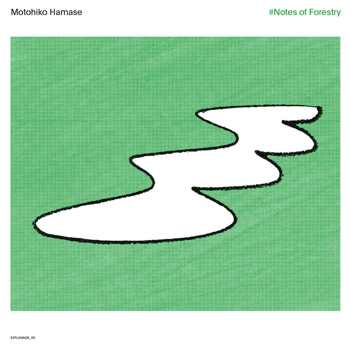 MOTOHIKO HAMASE - NOTES OF FORESTRY Vinyl LP