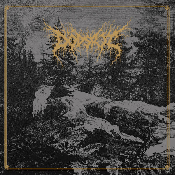 DODSRIT - MORTAL COIL Vinyl LP