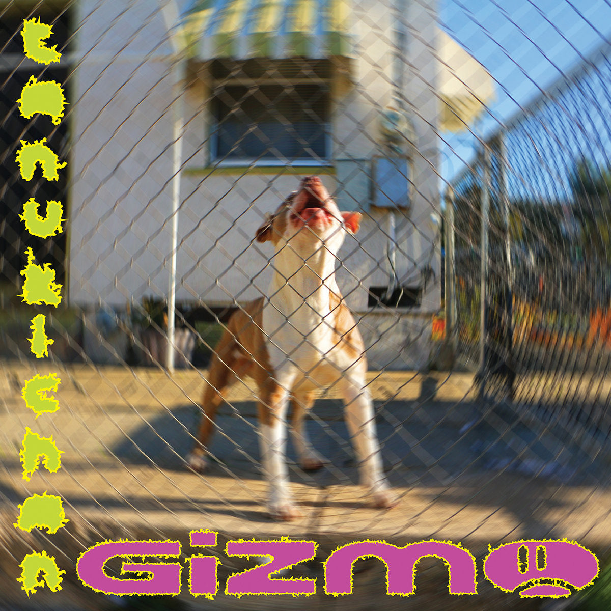 TANUKICHAN - GIZMO Vinyl LP