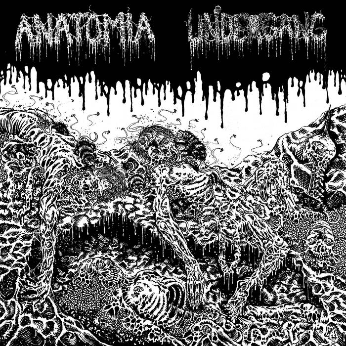 ANATOMIA / UNDERGANG - SPLIT Vinyl LP