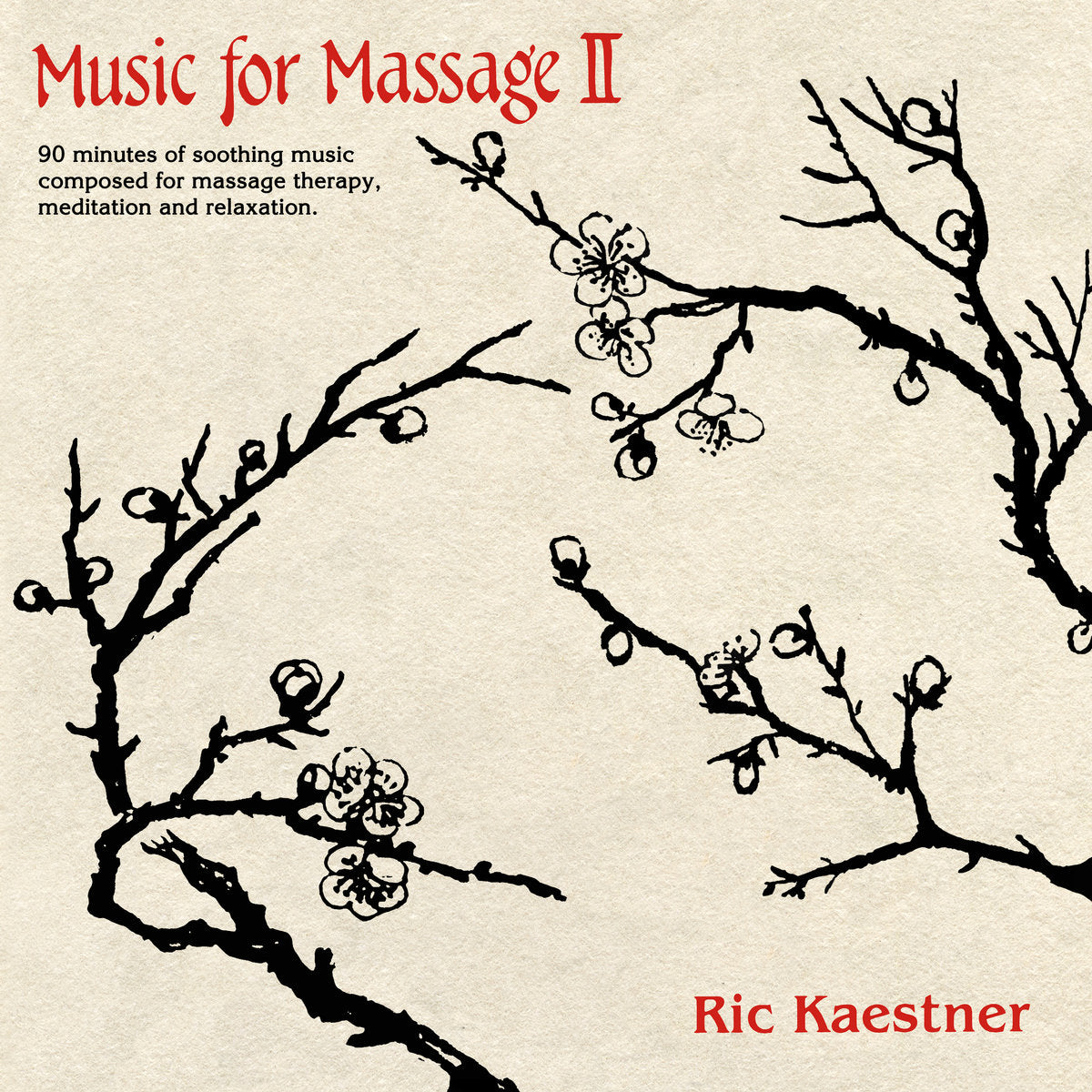 RIC KAESTNER - MUSIC FOR MASSAGE II Vinyl LP